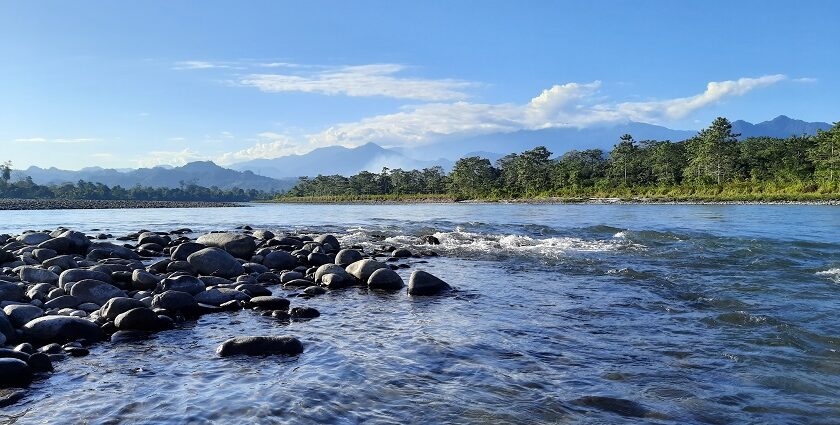 Nameri National Park, with stunning views and wildlife, is an amazing option for a trip.