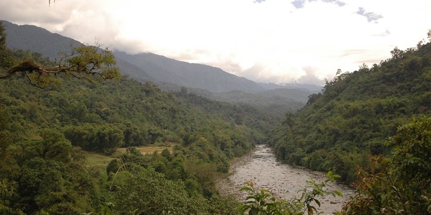 Scenic landscape view of Namdapha, featuring dense forests - places to visit in Dibrugarh