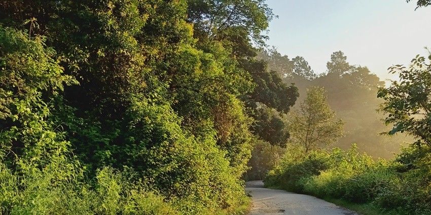 Sunrise hues shining on the lush landscapes of this district, a quaint escape for nature lovers
