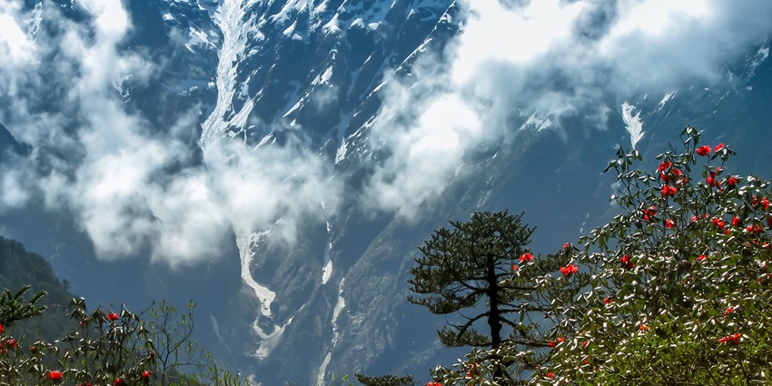 This wildlife sanctuary was established with the purpose to save the rhododendrons species