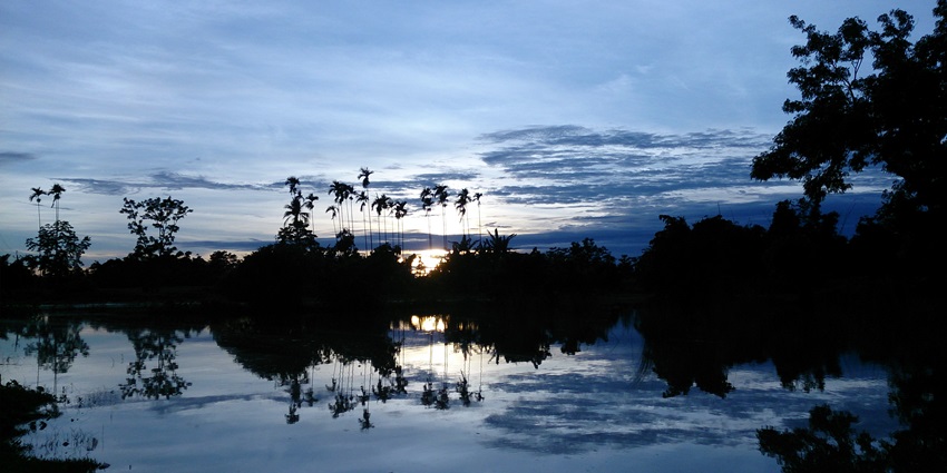 Snapshot of the sunset view from the flooded Laokhowa Wildlife Sanctuary in Assam
