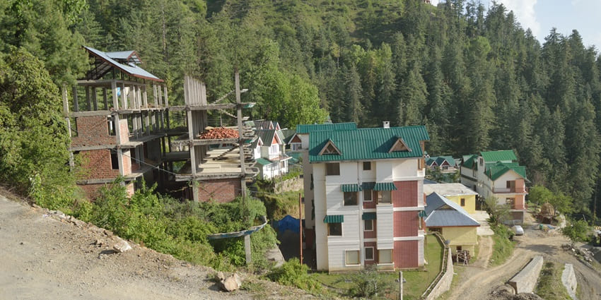 Enjoying nature walks amidst the lush groves of Mashobra is one of the best experiences.