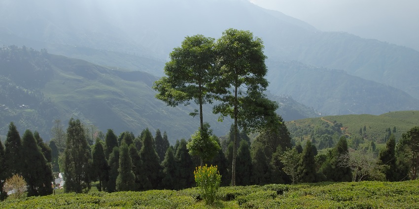 See the spectacular views of Lepchajagat, a place to visit in Darjeeling for couples.