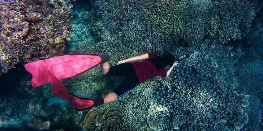 A person scuba diving under clear blue water with a camera amidst beautiful coral reefs