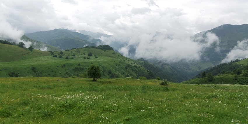 A picture of a beautiful green valley with flowers blooming on a cloudy day