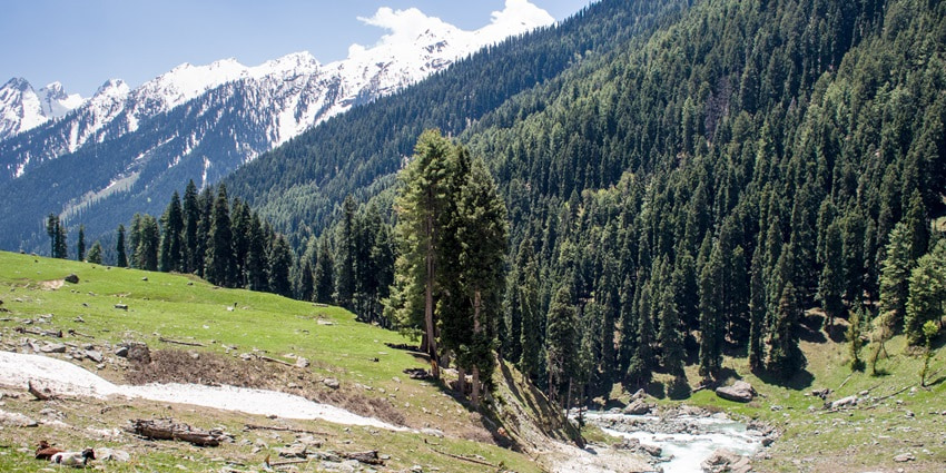 A view of Lidder Valley, one of the best places to visit near Betaab Valley in April.