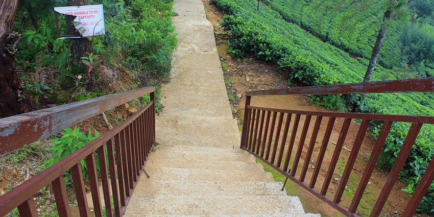 Exploring the Lipton’s Seat viewpoint is one of the best things to do in Ella, Sri Lanka.