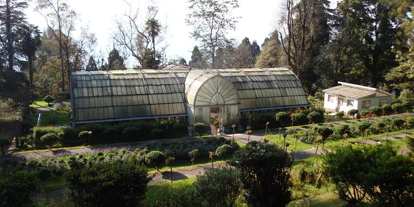 Lloyd's Botanical Garden contains alpine plants, plum lilies, geraniums, ash, birch, lilac from China and Japan, and plums, cherries, magnolias and cypress from the United States.