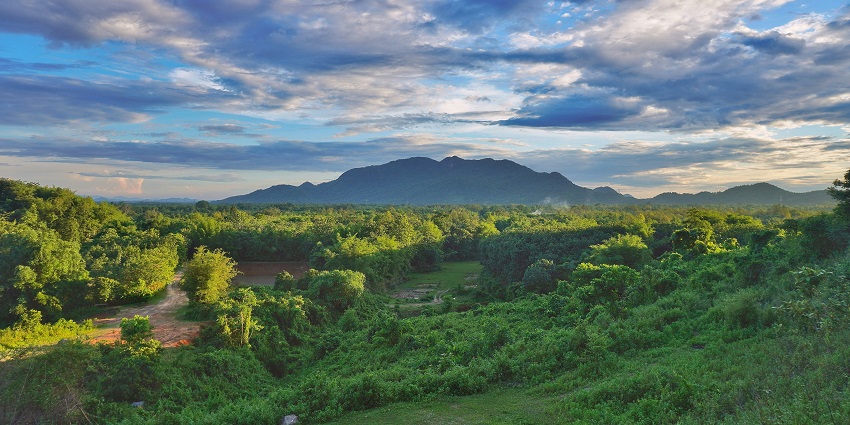 A view of lush green fields justifying the serene location of Bhalukpong picnic place.