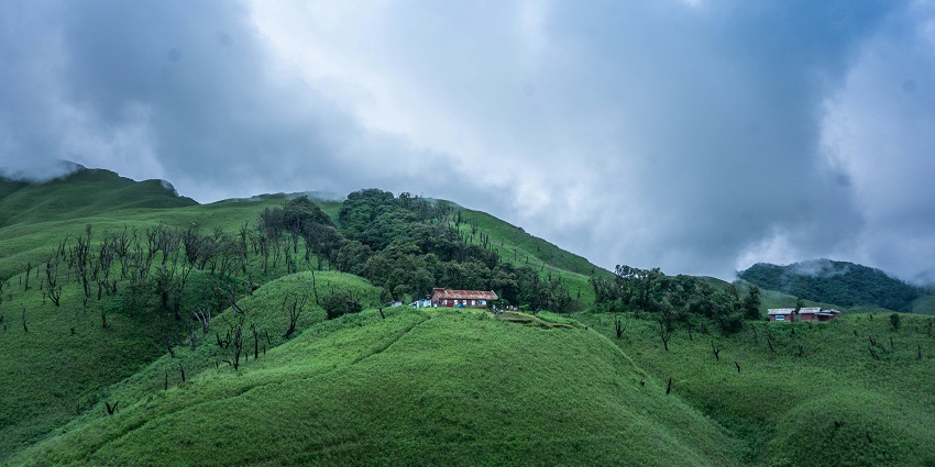 A view of lush green fields justifying the serene location of Bunning Wildlife Sanctuary.