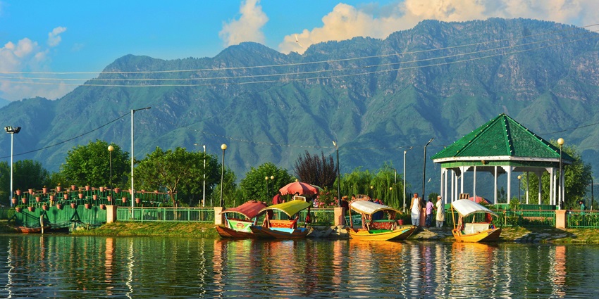 A breathtaking view of a waterbody with assorted boats on it surrounded by lush greenery.
