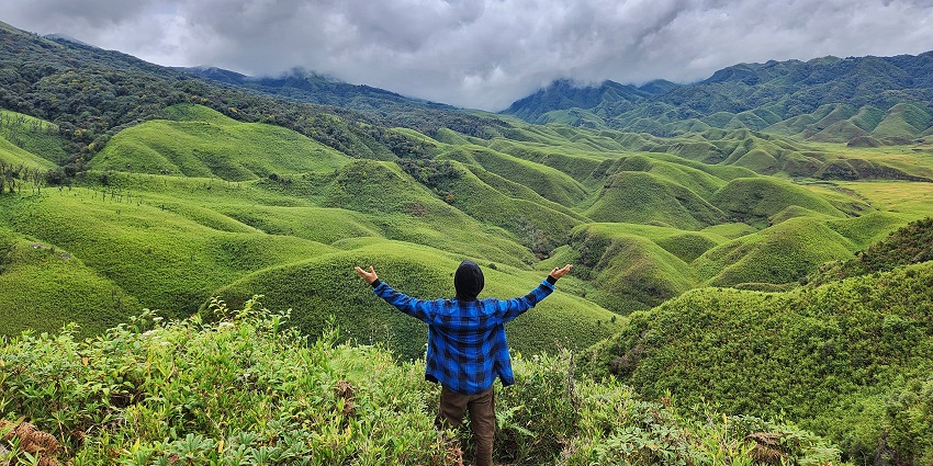 Experience flora blooming in Dzukou Valley in April, adding colour to the landscape.