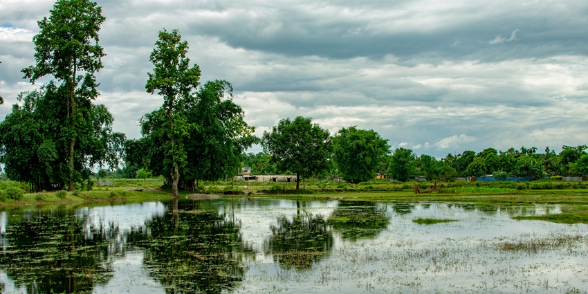 A breathtaking view of a body of water surrounded by lush green trees during the day.