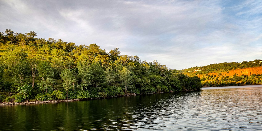 An image of the lush green Nallamala Forests along the Krishna river in Andhra Pradesh.