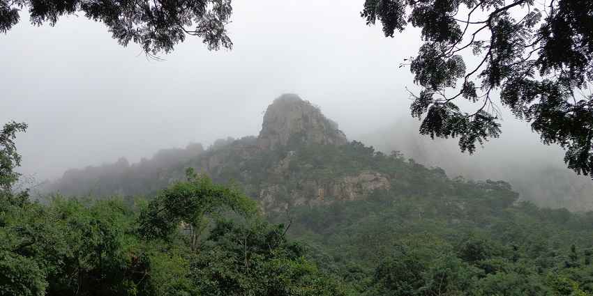 This sacred temple is located in the majestic Tirumala hills, Tirupati, Andhra Pradesh.