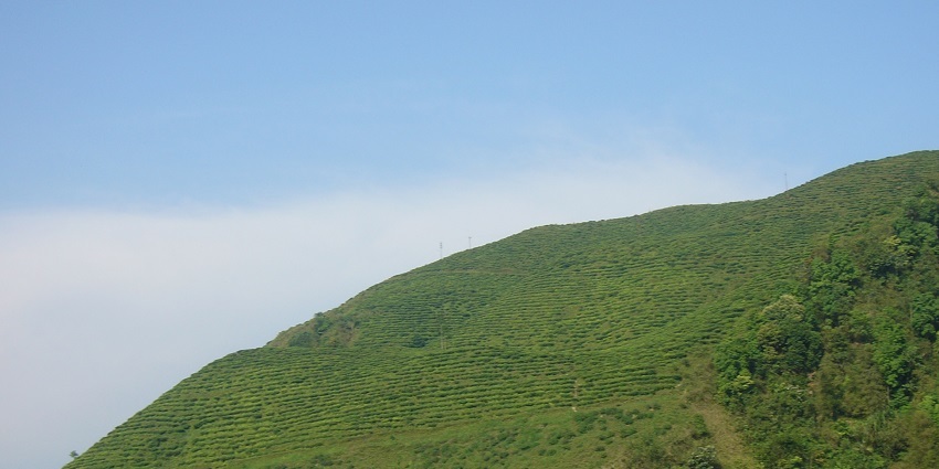 A beautiful green mountain near Paglajhora Waterfall
