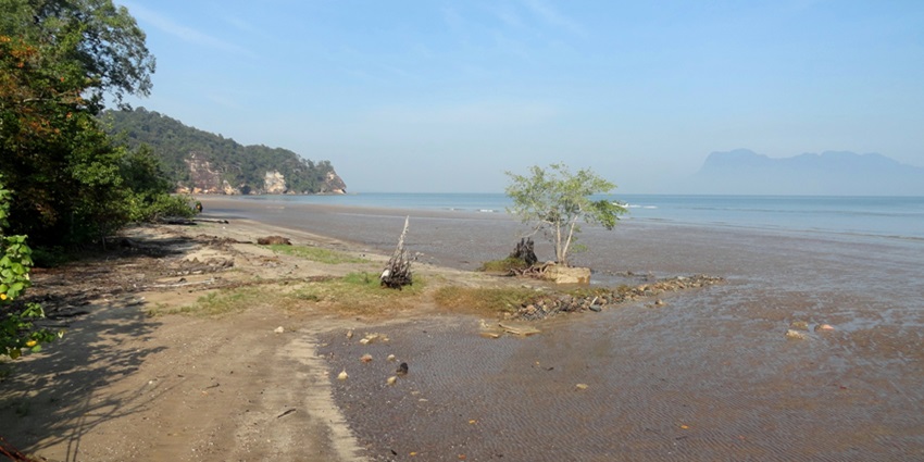 Bako National Park is located along the northern coast of Borneo, near Kuching.