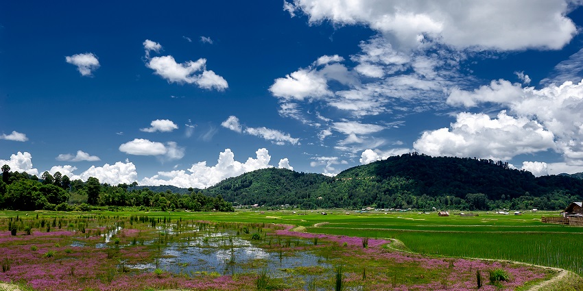 A picture of the beautiful Ziro Valley with green farms and trees on a sunny day