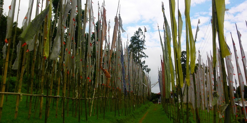 Explore the Rinchenpong Monastery and enjoy the spiritual ambiance amidst scenic beauty