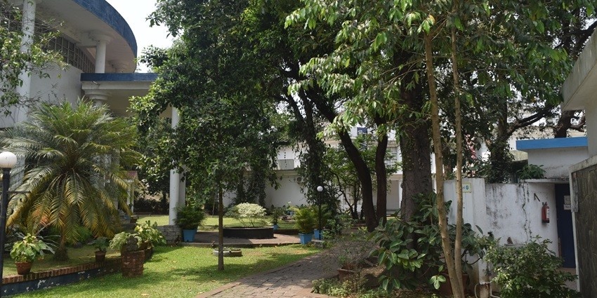 The green garden of the Kerala History Museum with numerous trees on a sunny day