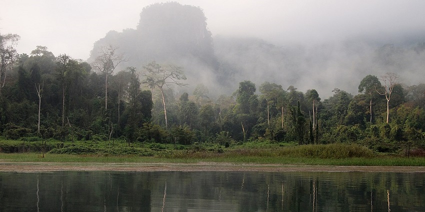 The Khao Sok National Park address is easy to locate as you navigate the rainforests.