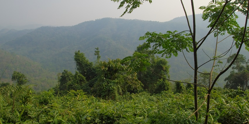 Khao Yai National Park address is easy to find amid the lush region of Thailand.