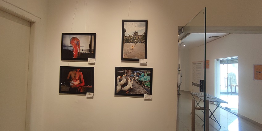 Situated in Raipur, Mahakoshal Art Gallery is a delight to explore for art enthusiasts.