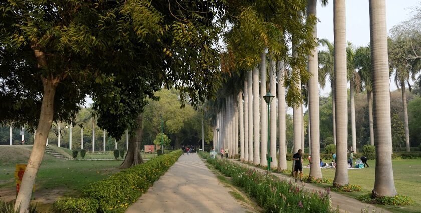 Beautiful image of the Lodhi garden–Explore and uncover things to do in Dwarka Delhi