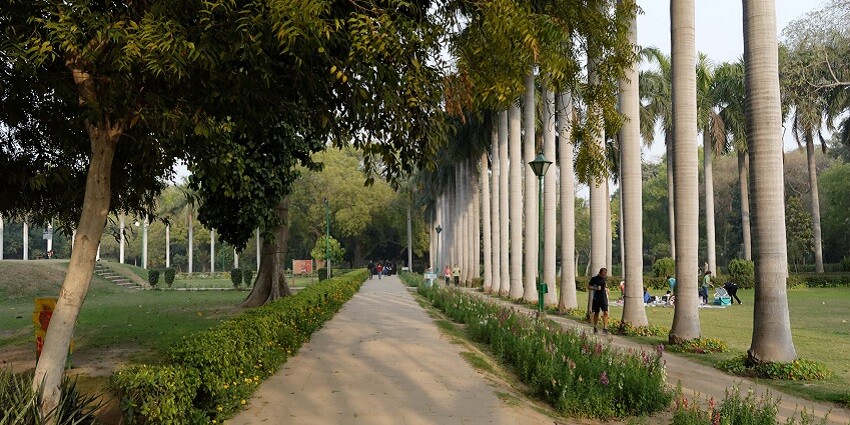 Beautiful image of the lodhi garden and the pathway surrounded by the trees