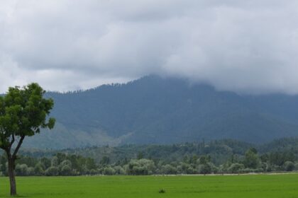 A stunning view of the lush green Lolab Valley in Kashmir with mountains in the backdrop.