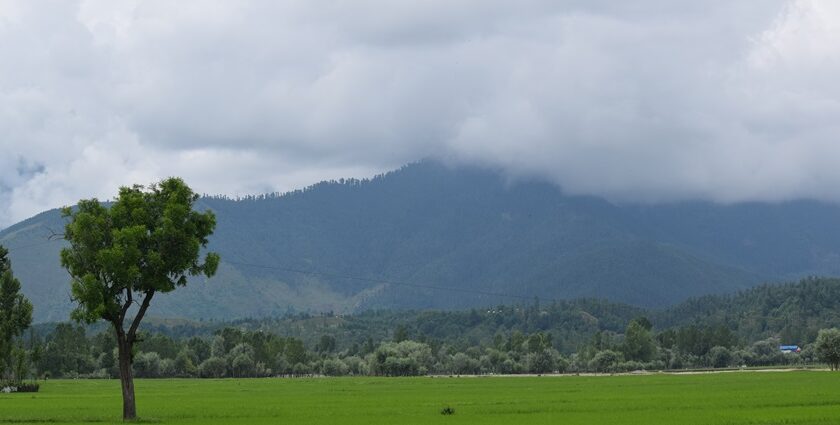 A stunning view of the lush green Lolab Valley in Kashmir with mountains in the backdrop.