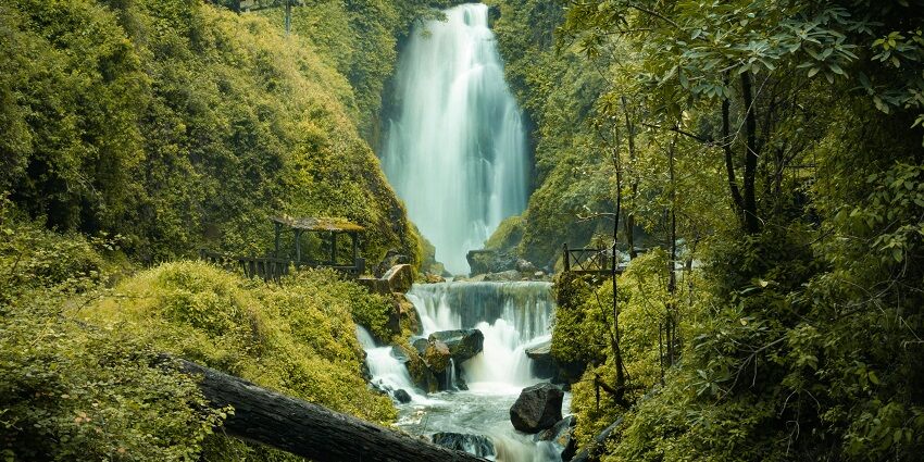 An image of a rainforest landscape with a waterfall and river cascade at Love Waterfall.