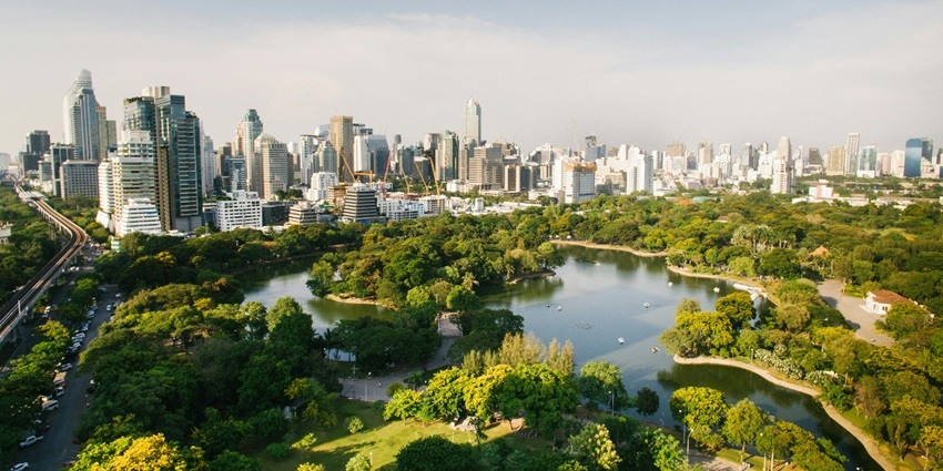 Tranquil surroundings of Lumpini park, an ideal picnic spot in the city