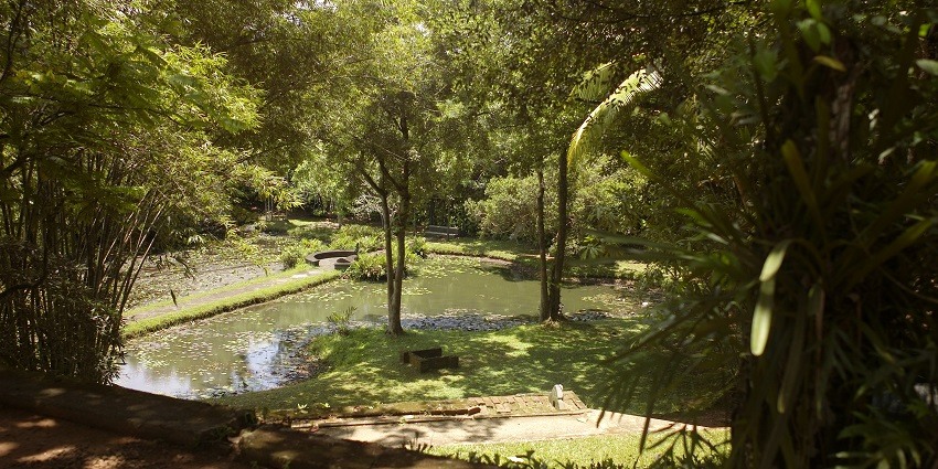 Scenic garden with lush greenery, well-maintained pathways, and a tranquil pond.