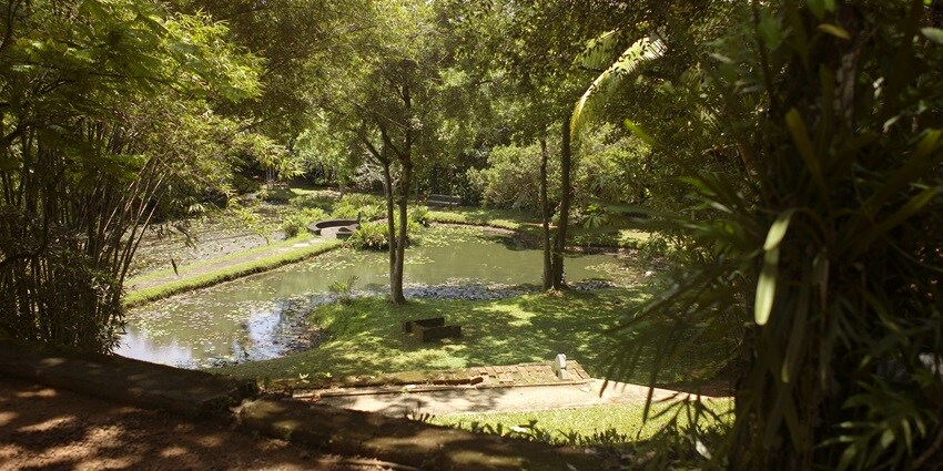 Lunuganga estate's serene garden, a must-see spot. Things to do in Bentota.