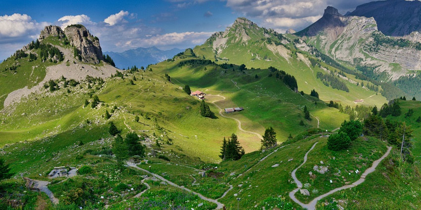 Image of a winding road meanders through a lush green valley under a clear blue sky.