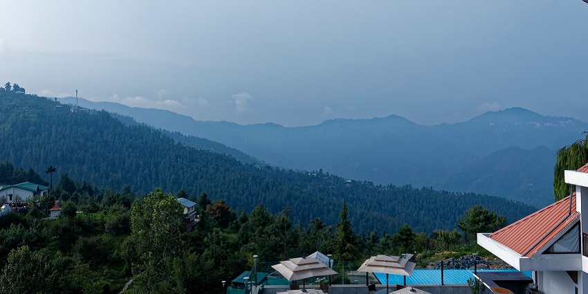 Scenic view of lush green hills and trees in Mashobra, India, under a clear sky.