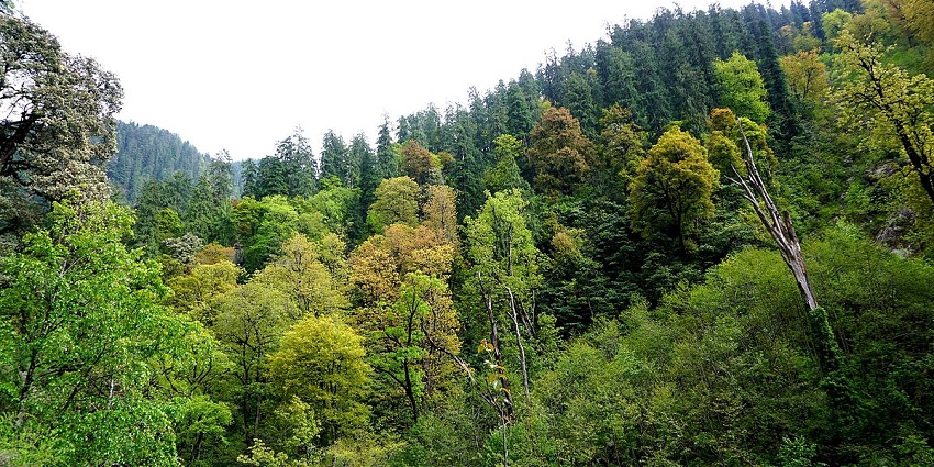 Khirganga national park houses a diverse range of wildlife and avifauna