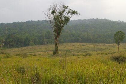 Visit the third largest national park in Thailand for an experience like never before.