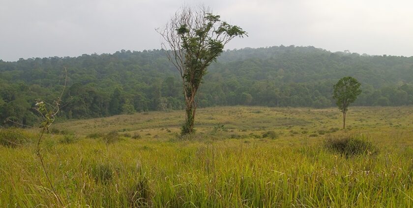 Visit the third largest national park in Thailand for an experience like never before.