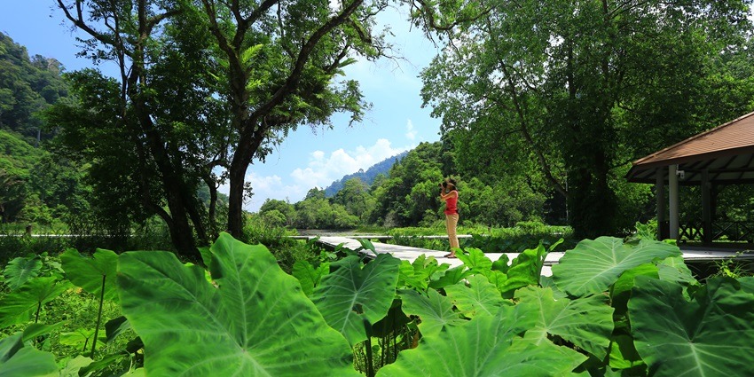 The lush greenery along with the area of the Phuket National Park gives it a serene aura