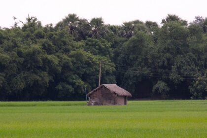 West Bengal offers a bevy of attractions to explore for all history enthusiasts.