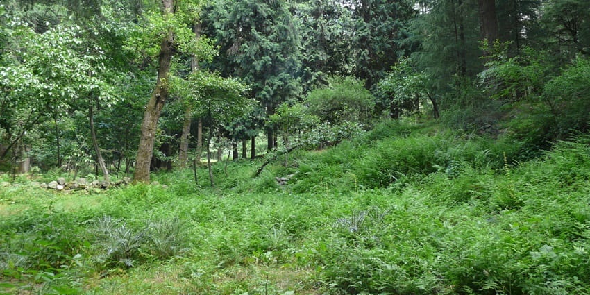 Van Vihar national park offers tourists a diverse wildlife, serene lakes and leisure activities like boating