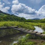 Dzukou valley in October is a nature lovers heaven, with the crimson caped fields and colourful flowerbeds