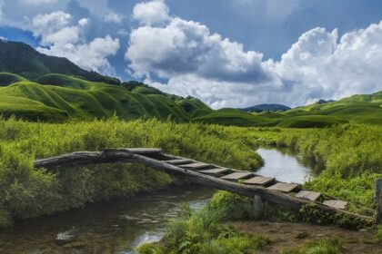 Dzukou valley in October is a nature lovers heaven, with the crimson caped fields and colourful flowerbeds