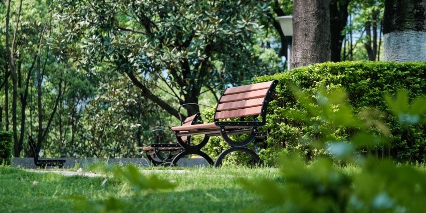 Madhuban park has calm water features, meandering paths and vivid flower beds.