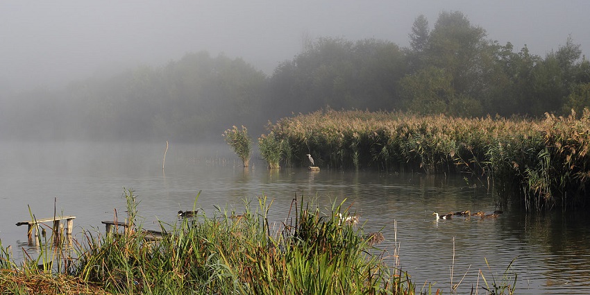 Madhubani pond is said to be haunted by the spirits of these drowned passengers.
