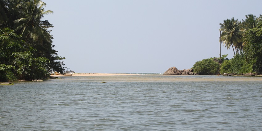 Mouth of the Maduganga estuary with flowing water, lush greenery - Batticaloa Beaches.