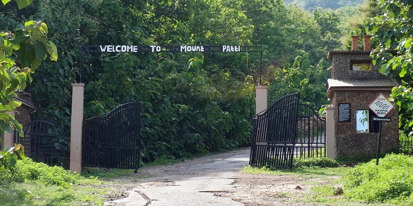 Entrance gate to Mount Patti through a leafy avenue, framed by forested hills.
