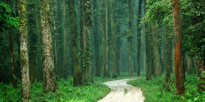 Mahananda Sightseeing is one of the best places to explore around Sed Gyued Monastery.